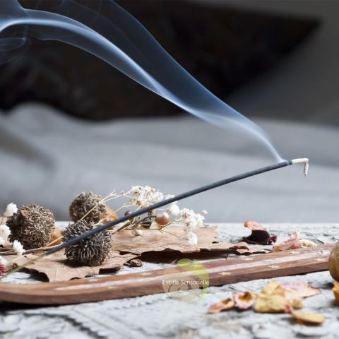 Encens aromatic frankincense 15g