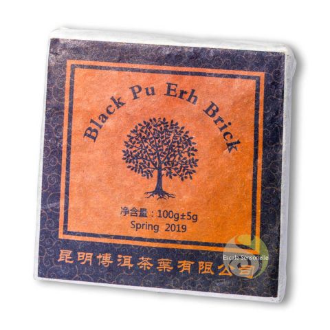 Tablette de thé sombre pu-erh Yunnan Hong Zhuang