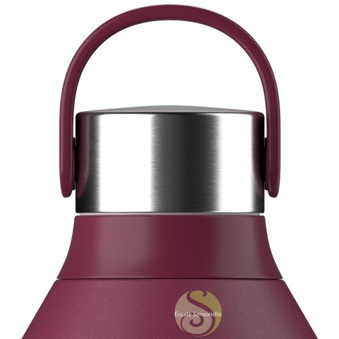 Bouteille isotherme Série 2 plum red