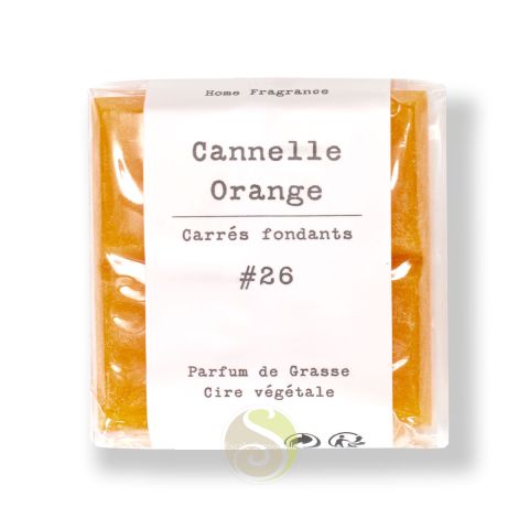 Cannelle orange pastille parfumée à diffuser carrés fondants