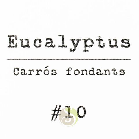 Cire parfumée eucalyptus