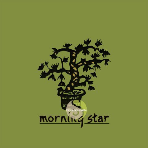 Encens japonais Morning star thé vert