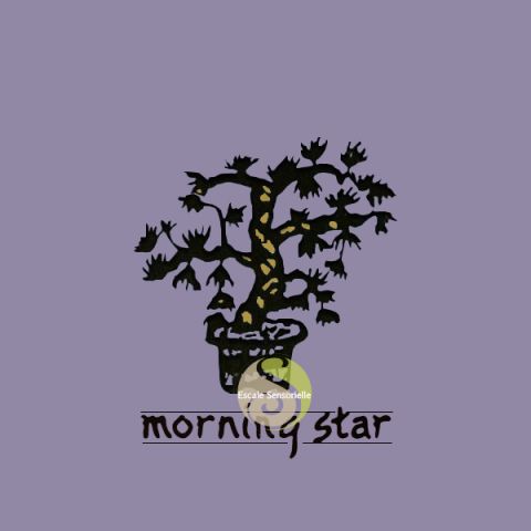 Encens japonais Morning star lavande