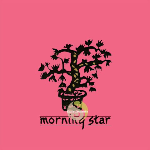 Encens japonais Morning star lotus