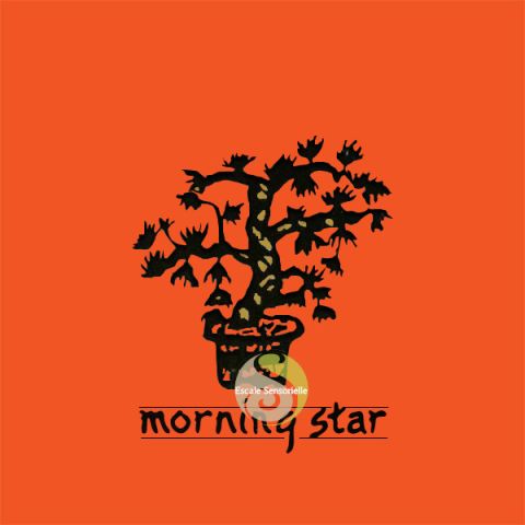 Encens japonais Morning star myrrhe