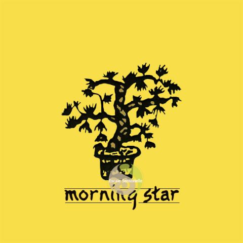 Encens japonais Morning star patchouli