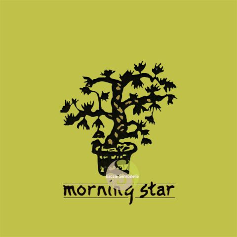 Encens japonais Morning star pin