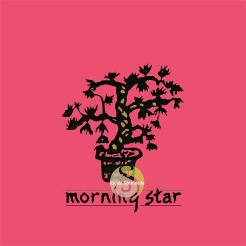 Encens japonais Morning star rose