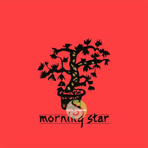 Encens japonais Morning star bois de santal