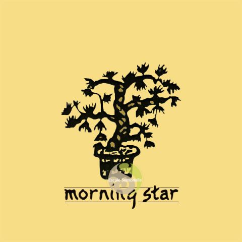 Encens japonais Morning star vanille