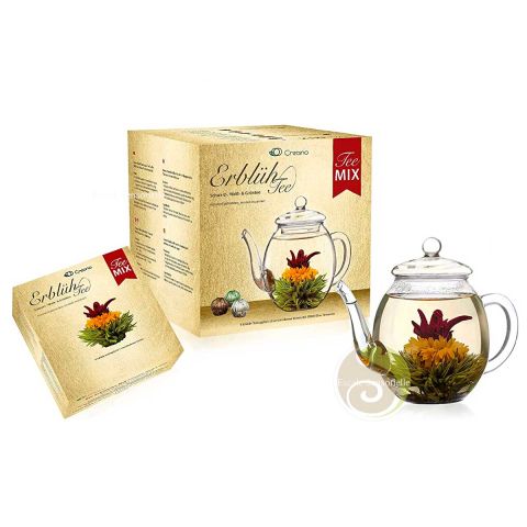 Set fleurs de thé et théière 500 ml borosilicate Creano