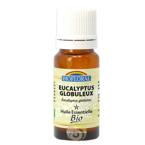 Eucalyptus globuleux huile essentielle Bio