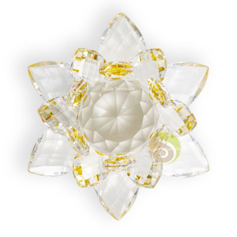 Lotus cristal jaune
