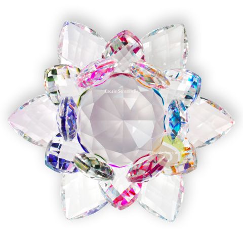 Lotus cristal multicolore