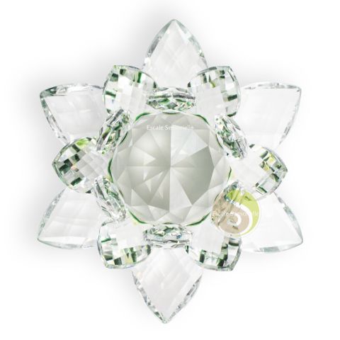 Lotus cristal vert