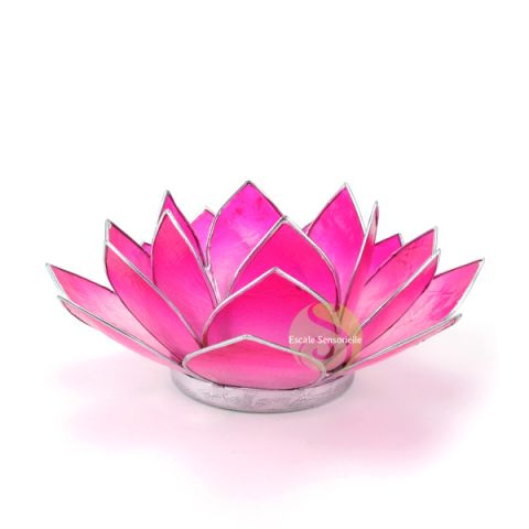 Fleur de lotus bicolores photophore coquillage capiz