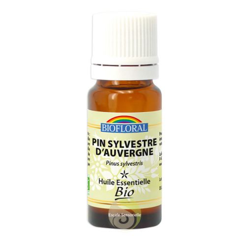 Pin Sylvestre d'Auvergne huile essentielle Bio