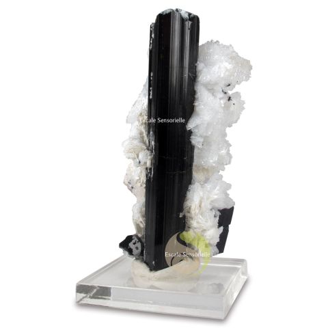 Pièce unique tourmaline noire incrustée dans cristal de roche collection