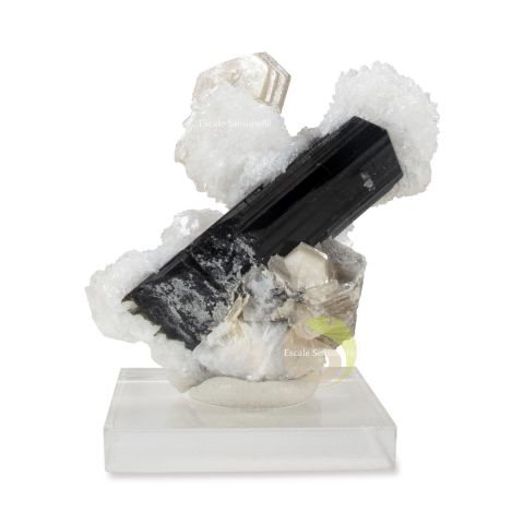 Tourmaline noire incrustée dans cristal de roche pièce unique