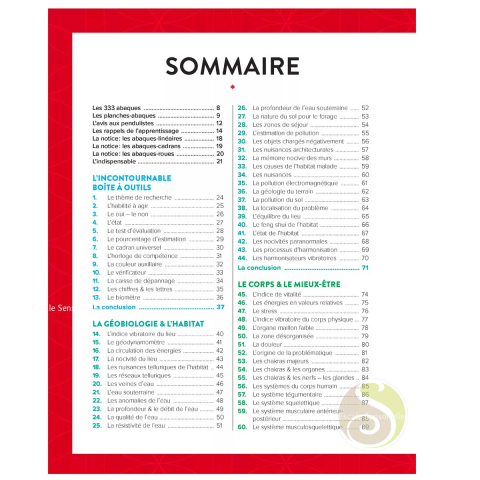 Les 333 planches du pendule