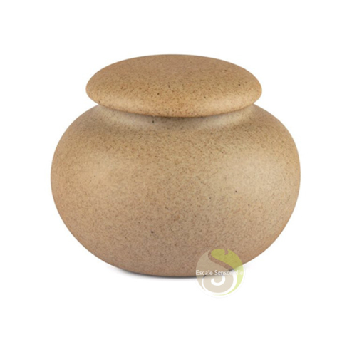 Comment conserver et ranger son thé tisane et infusion