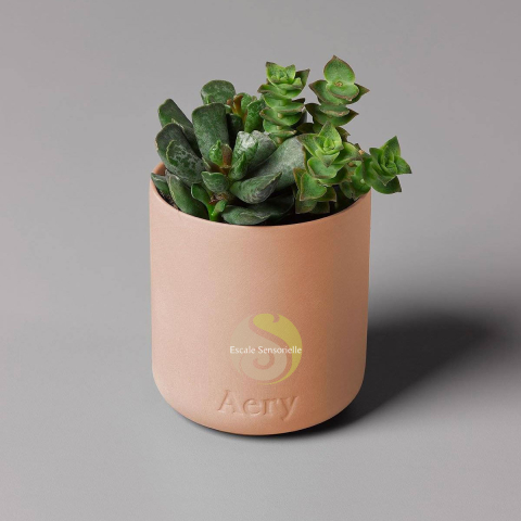 Aztec tuberose bougie luxe