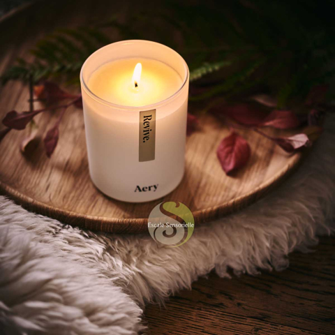 Revive bougie luxe cèdre, ambre et bergamote