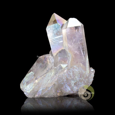 Angel aura 327g