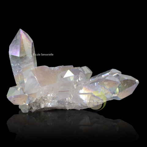 Angel aura 285g