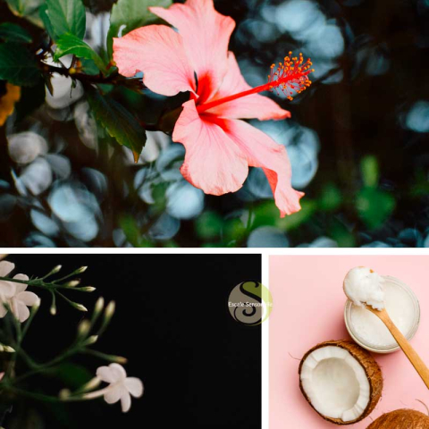 Bain moussant - Tropical breeze