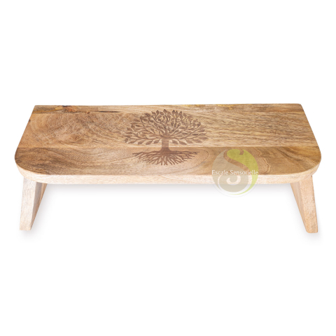 Siège de méditation fleur de vie gravée hauteur 18/20,5 cm bois de manguier