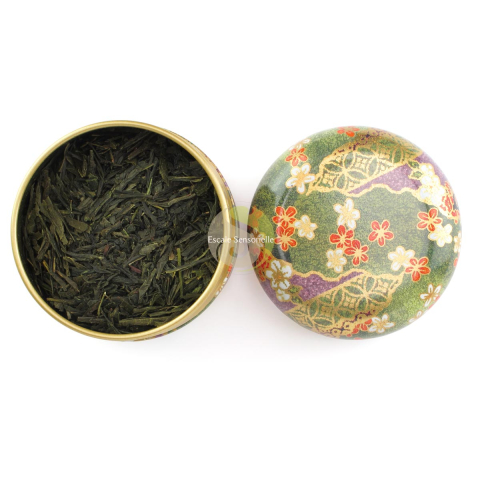 Bancha (organic) édition limitée