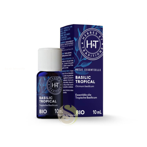 Basilic tropical Bio huile essentielle Herbes et Traditions