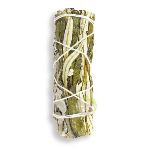 Bâton sauge et yerba santa purification et incantation chamanique