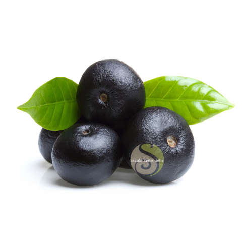 Baume à lèvres acai