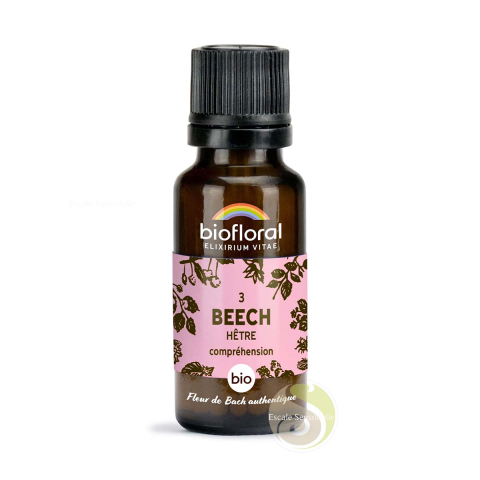 Hêtre, Beech, fleur de Bach N°1 sans alcool bio tolérance Biofloral