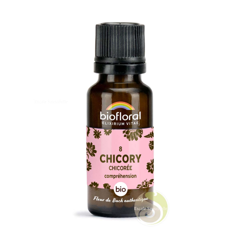 Chicory, chicorée fleur de Bach N°8 sans alcool bio pour favoriser la tolérance et l'altruisme
