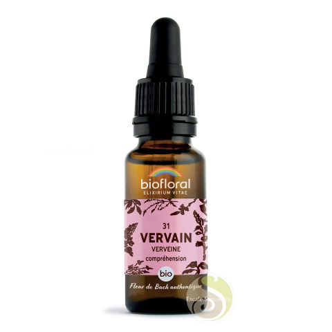 Verveine vervain fleur de Bach N°31 calme, modération, respect des autres Biofloral