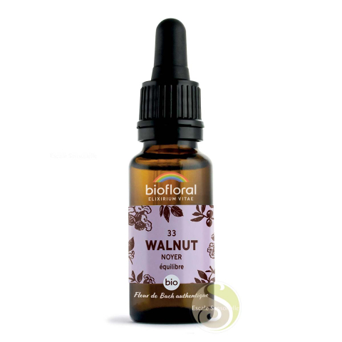 Noyer, walnut fleur de Bach N°33 bio Biofloral libération des liens avec le passé, aide au changement