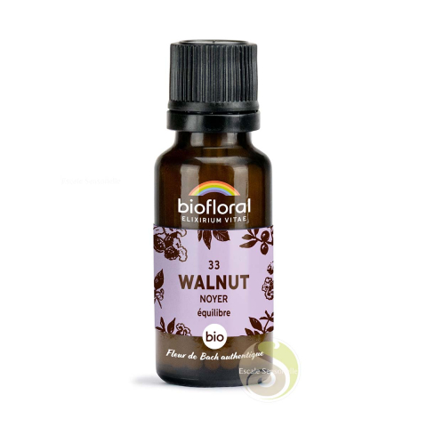 Noyer, walnut fleur de Bach N°33 sans alcool bio Biofloral libération des liens avec le passé, aide au changement