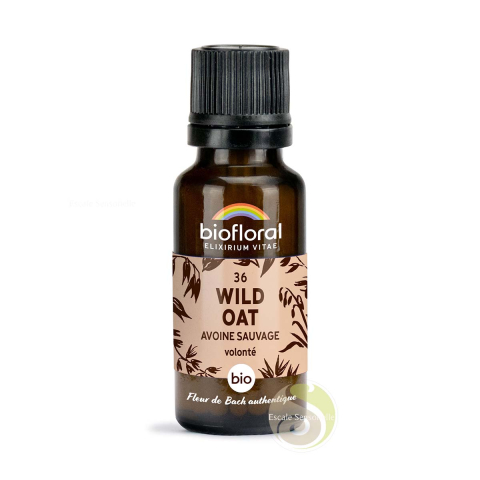 Avoine sauvage wild oat Fleur de Bach Bio N°36 bio Biofloral volonté