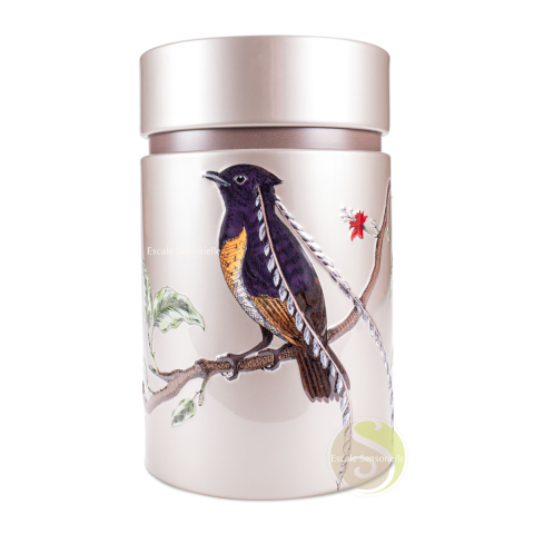 Boite double couvercle à thé birds platin