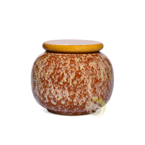 Boite à thé vrac céramique Jianzhan 280ml couvercle bois joint d'étanchéité 