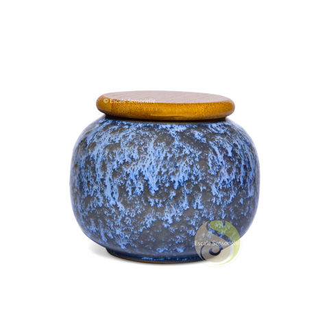 Boite de rangement 280ml pour thé infusion céramique jianzhan sodalite
