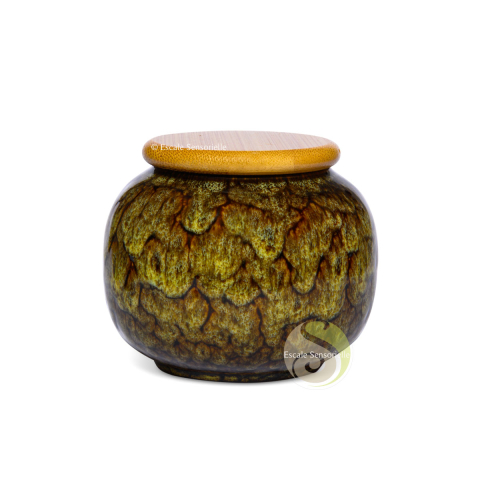 Boite à thé céramique Jianzhang verte 280ml couvercle bois