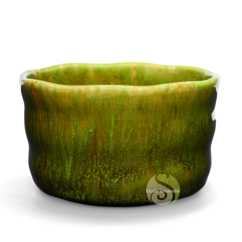 Coffret matcha chawan jungle