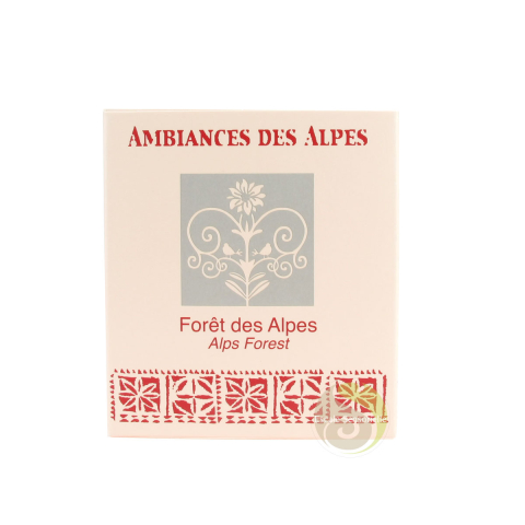 Bougie forêt des Alpes