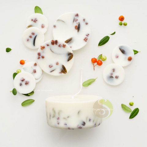 Bougie et fondants parfumés ashberries & bilberries leaves