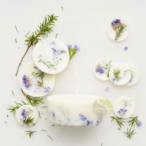 Bougie et fondants parfumés juniper & limonium (genévrier & limonium)