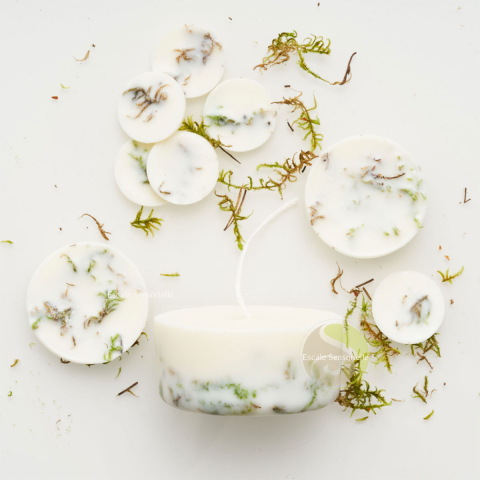 Bougie et fondants parfumés moss (mousse)
